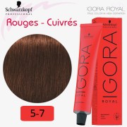 IGORA Royal 5-7 châtain clair cuivré série rouges cuivrés