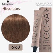 N°6-60 Igora Royal Absolutes Schwarzkopf