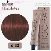 N°6-80 Igora Royal Absolutes Schwarzkopf