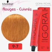 IGORA Royal 9-7 blond très clair cuivré série rouges cuivrés