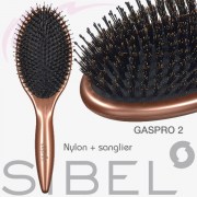 Brosse pneumatique GASPRO 2 Sibel