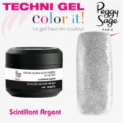 TechniGel Color It Scintillant Argent Peggy Sage