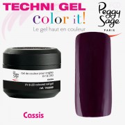 TechniGel Color It Laqué Cassis 889 Peggy Sage