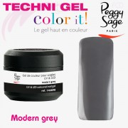 TechniGel Color It Laqué Modern Grey 898 Peggy Sage